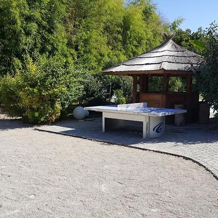 Au Faisan Dore Neuville-sur-Ain Exteriér fotografie